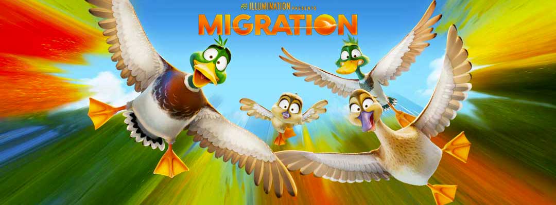 Migration (3D)