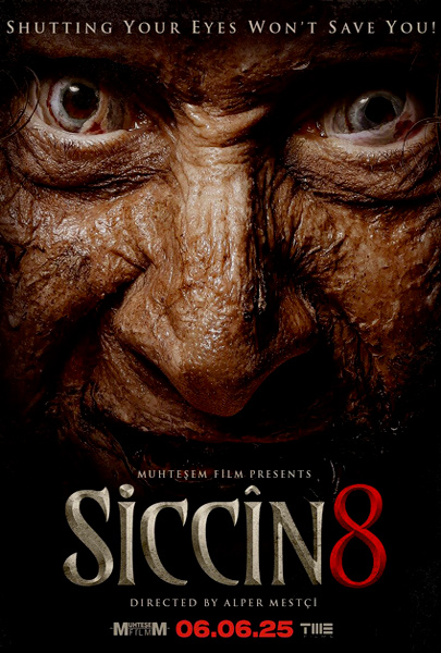 Siccin 8 (2D)